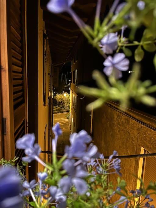 La Piccola Casa Al Lago - Intera Casa Con 3 Camere E 2 Box Salò Eksteriør billede