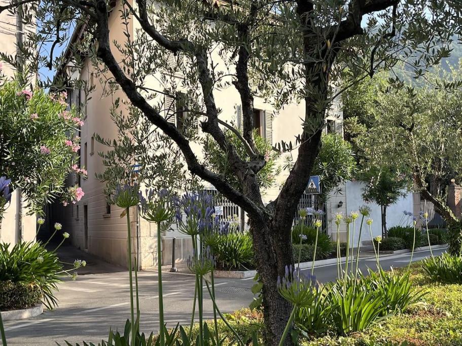 La Piccola Casa Al Lago - Intera Casa Con 3 Camere E 2 Box Salò Eksteriør billede